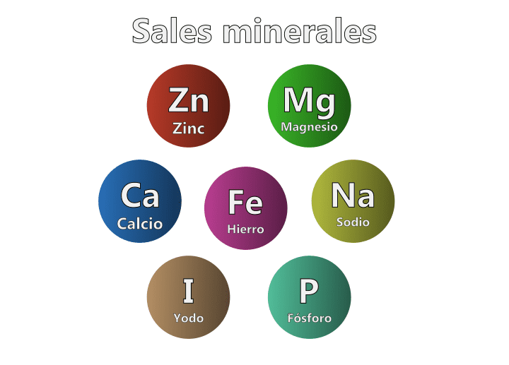 Cuál es la definición, importancia y tipos de sales minerales