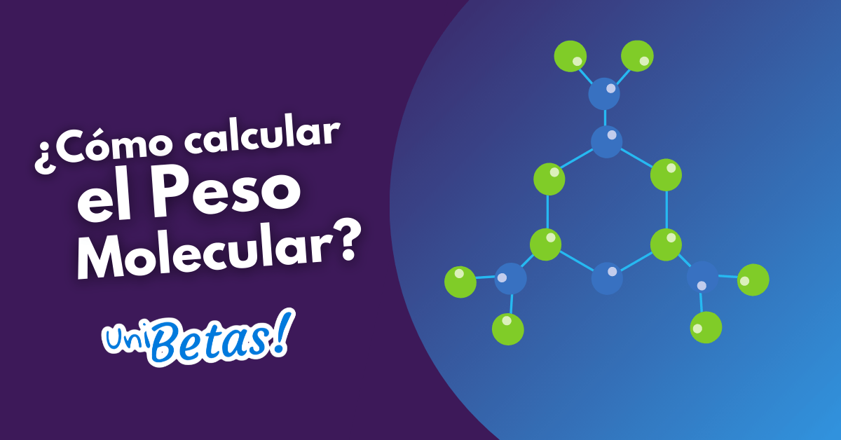 Cuál es la definición y desarrollo de los pesos moleculares