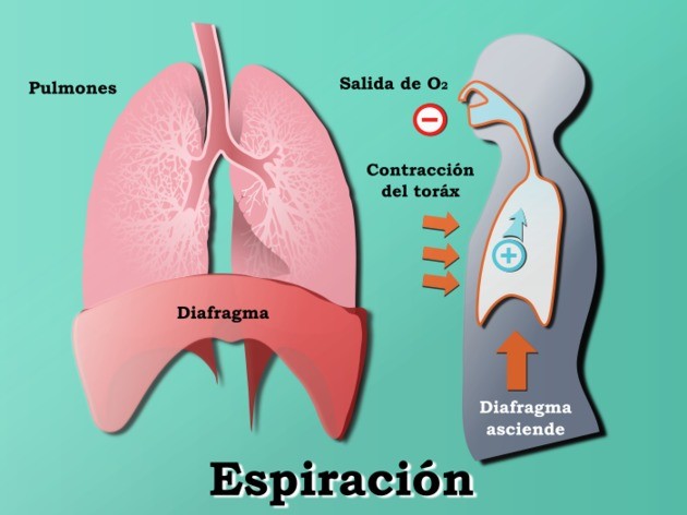 Cuál es la definición y el concepto de expiración en la religión