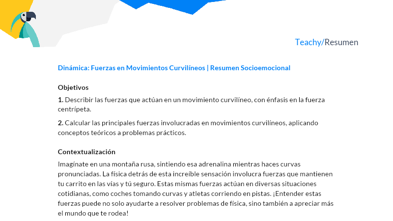 Cuál es la definición y el concepto esencial de curvilíneo