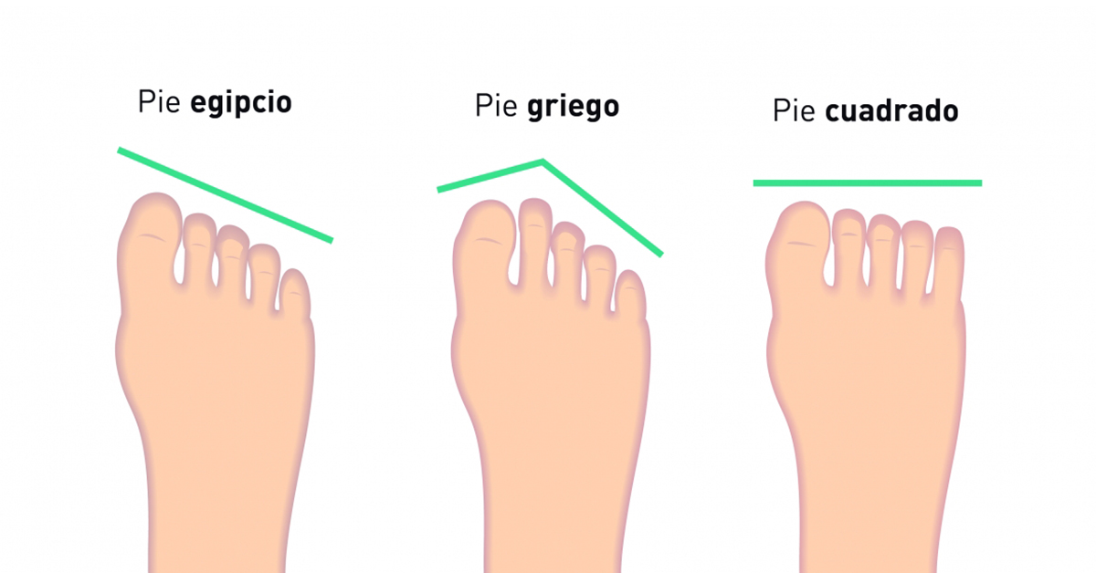Cuál es la definición y el concepto esencial de los PIES