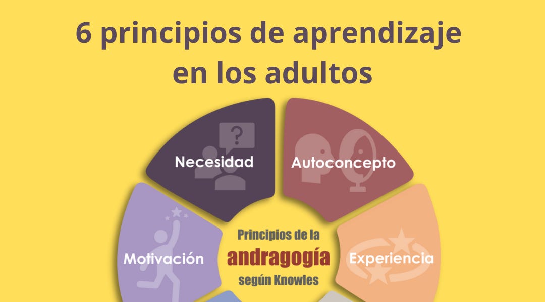 Cuál es la definición y el concepto esencial de ser adulto