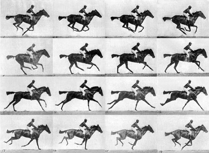 Cuál es la definición y significado del fotograma en el cine