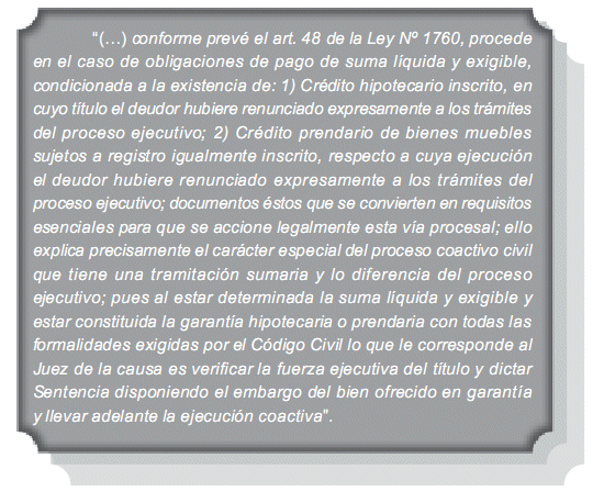 Cuál es la definición y significado esencial de COACTIVA