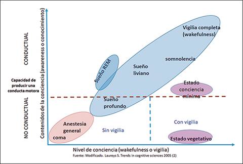 Cuál es la definición y usos del término prolongado