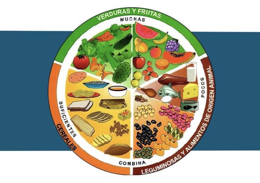 Cuál es la dieta fácil y correcta para cuidar tu salud