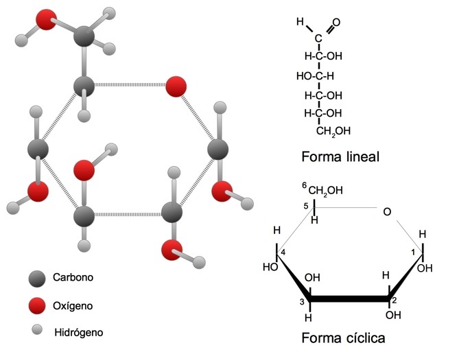 Cuál es la estructura química de la glucosa y sus enlaces