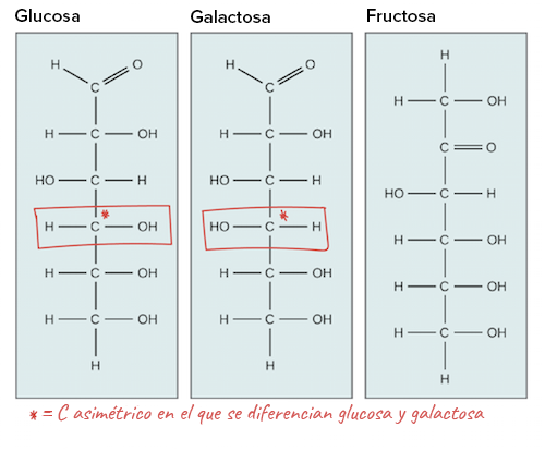 Cuál es la fórmula, estructuras y tipos esenciales del azúcar