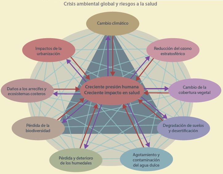 Cuál es la importancia de la salud ambiental y sus conceptos clave