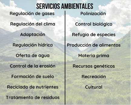 Cuál es la importancia de las áreas protegidas para un futuro sostenible
