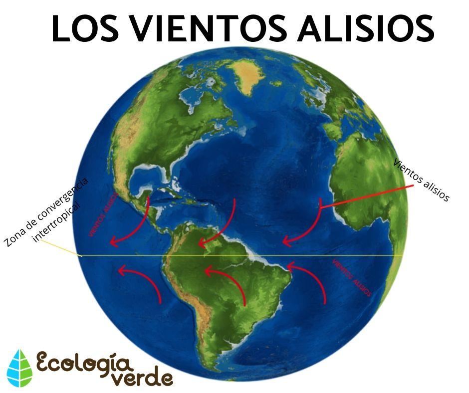 Cuál es la importancia y el concepto de los Vientos Alisios