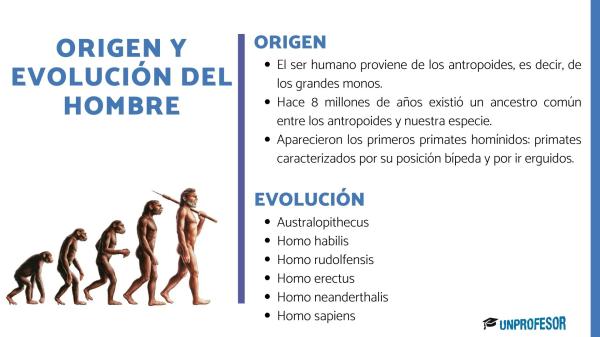 Cuál es la interesante historia de los primeros humanos en la Tierra