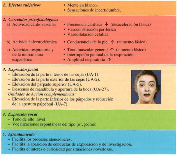 Cuál es la sorprendente definición y significado de eficaz