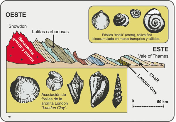 Cuál es una definición clara y sencilla de aporte en geología