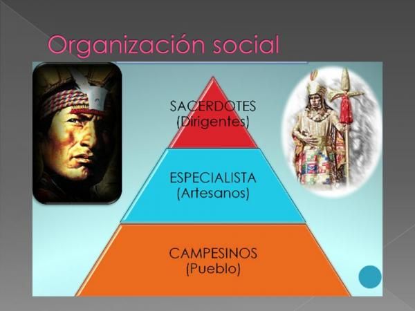 Cuál fue la organización política y social de las culturas olmecas