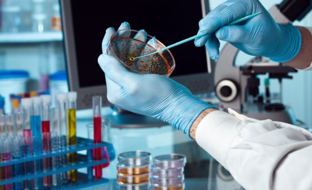 Cuáles son 10 sorprendentes ejemplos de biotecnología hoy en día