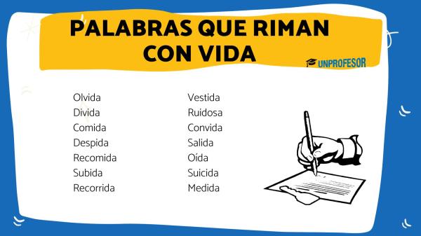 Cuáles son 100 palabras que riman con vida en poesía