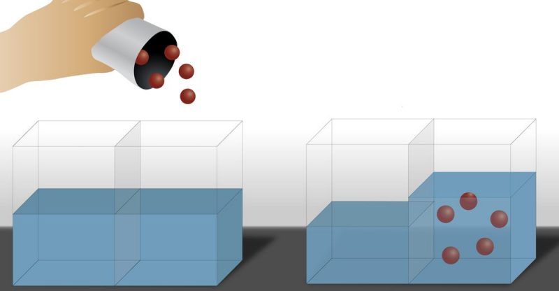 Cuáles son 15 ejemplos clave de difusión y ósmosis en la vida