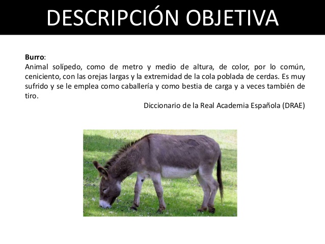 Cuáles son 20 ejemplos impactantes de descripción objetiva