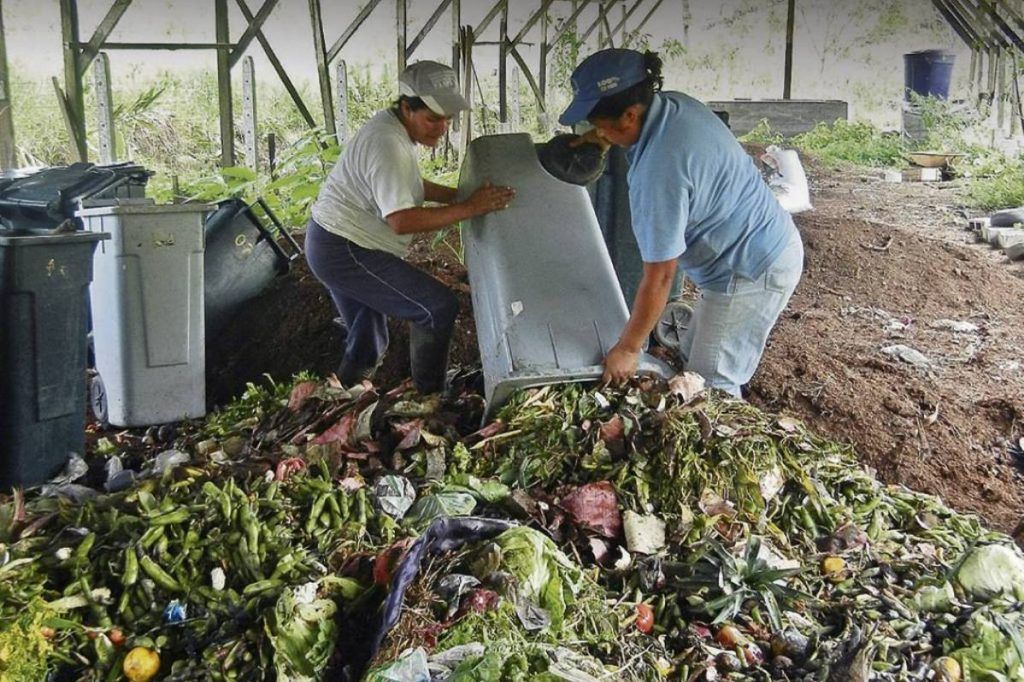 Cuáles son 20 ejemplos sorprendentes de desechos orgánicos