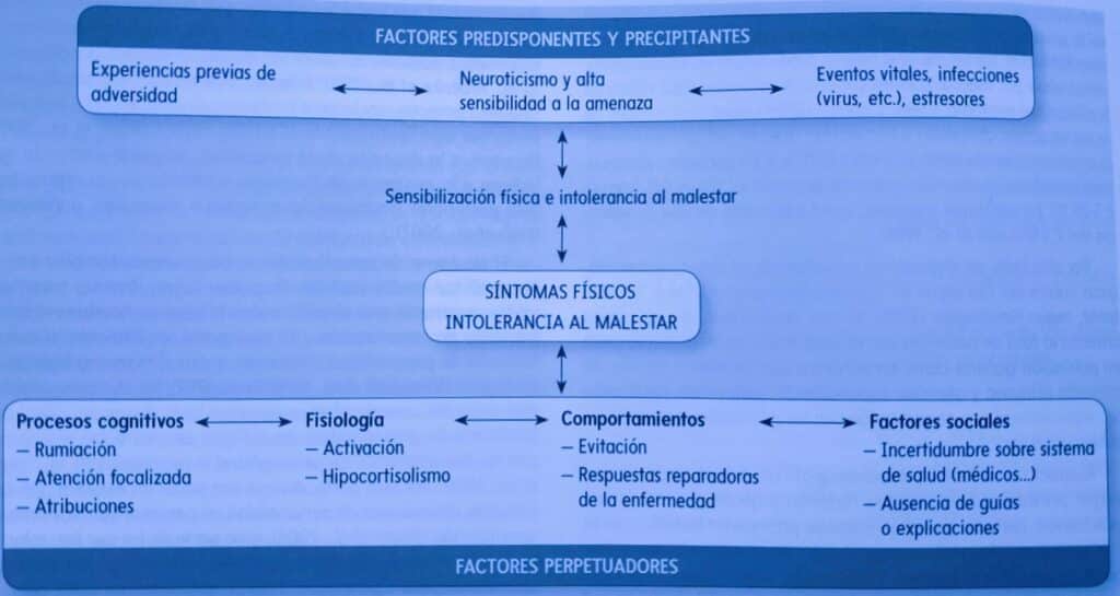 Cuáles son 20 ejemplos sorprendentes de experiencias somáticas