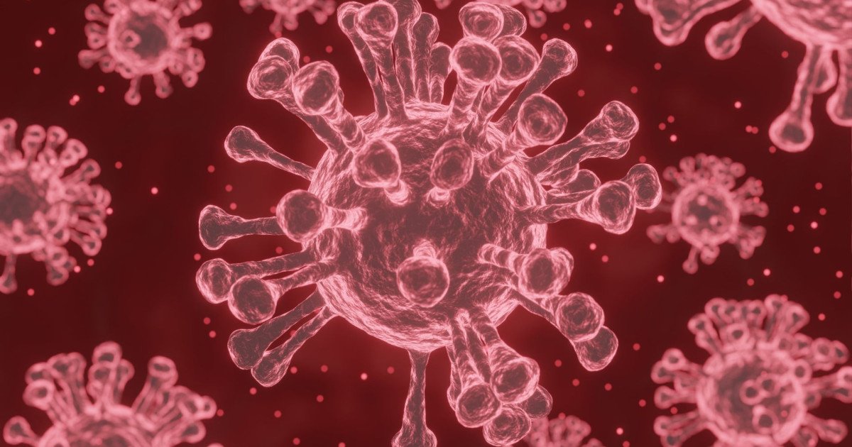 Cuáles son 20 nombres fascinantes de bacterias que debemos conocer