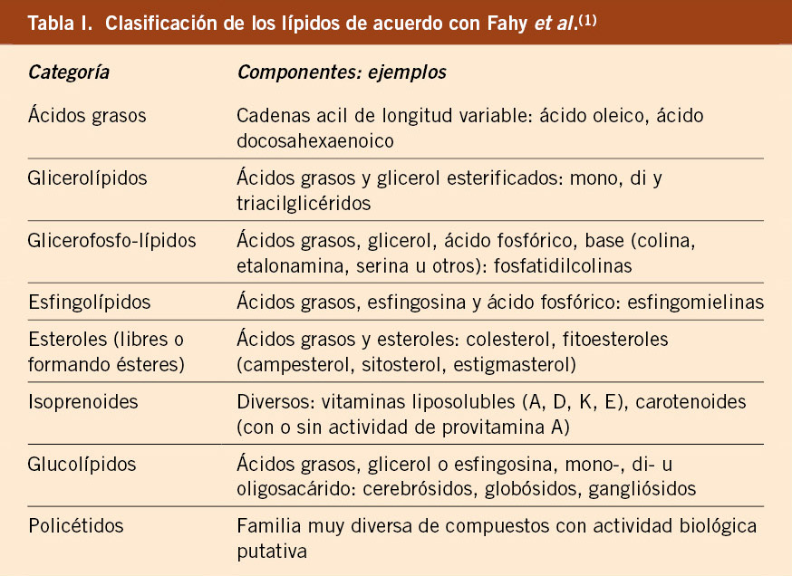 Cuáles son 25 ejemplos clave de lípidos en los alimentos