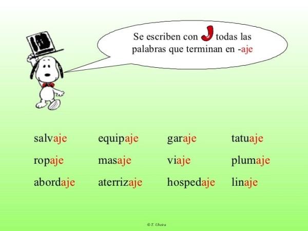 Cuáles son 50 ejemplos de palabras que terminan con -ex