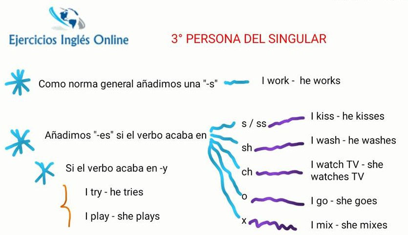 Cuáles son 50 ejemplos de verbos en tercera persona en inglés