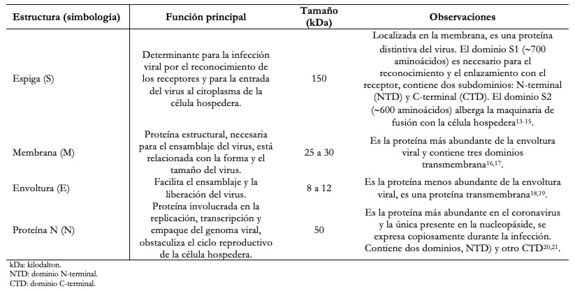 Cuáles son 50 ejemplos interesantes de nombres de virus