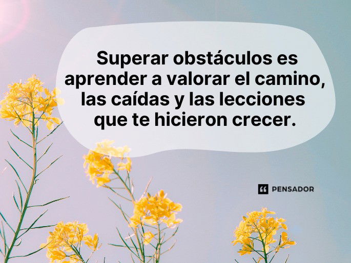 Cuáles son 50 lecciones inspiradoras sobre la paciencia