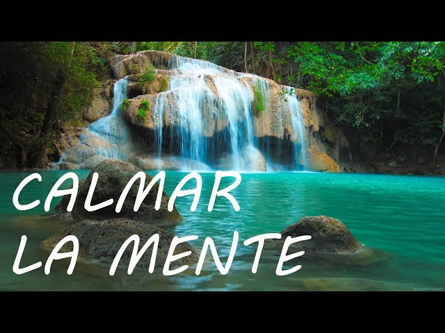 CUÁLES SON CINCO SONIDOS NATURALES QUE RELAJAN LA MENTE