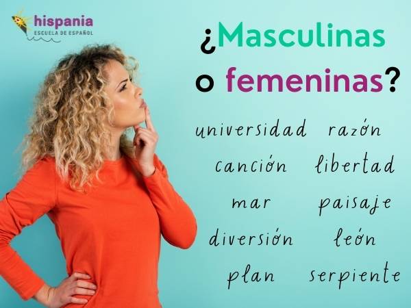 Cuáles son ejemplos clave de oraciones en masculino y femenino