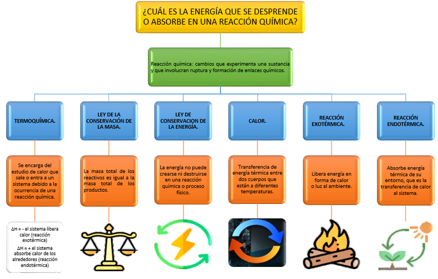 Cuáles son ejemplos clave de procesos endotérmicos y su importancia