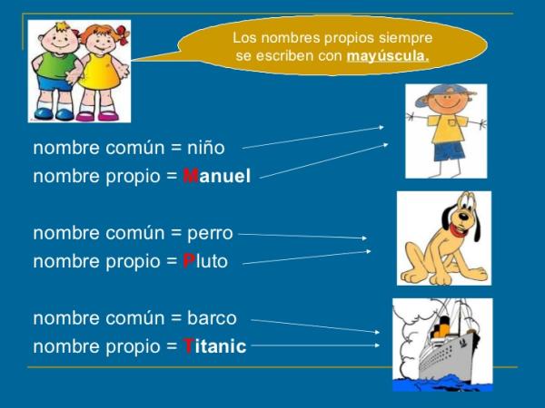 Cuáles son ejemplos de sustantivos comunes en oraciones claras