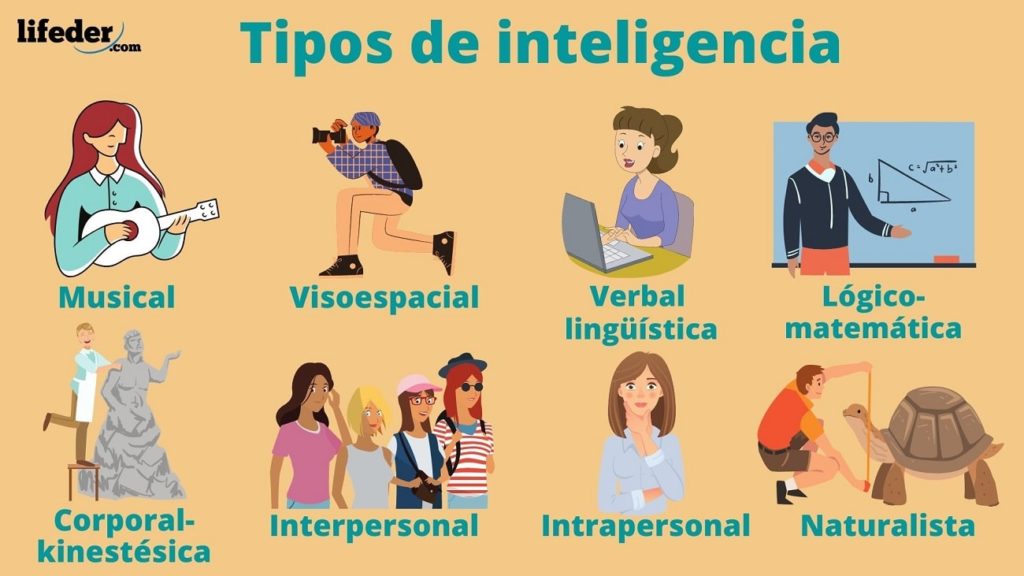 Cuáles son la definición, características y tipos de inteligencia