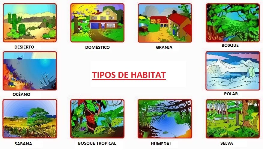 Cuáles son la definición, tipos y ejemplos de hábitat