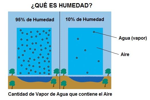 Cuáles son la definición, tipos y ejemplos de la humedad