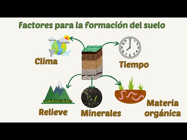 Cuáles son la definición, tipos y propiedades esenciales del suelo