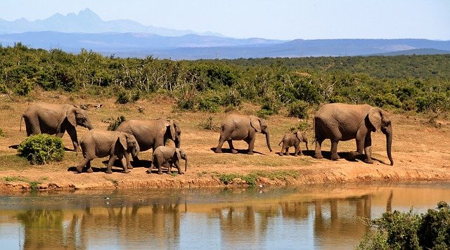 Cuáles son la definición, usos y características de una reserva