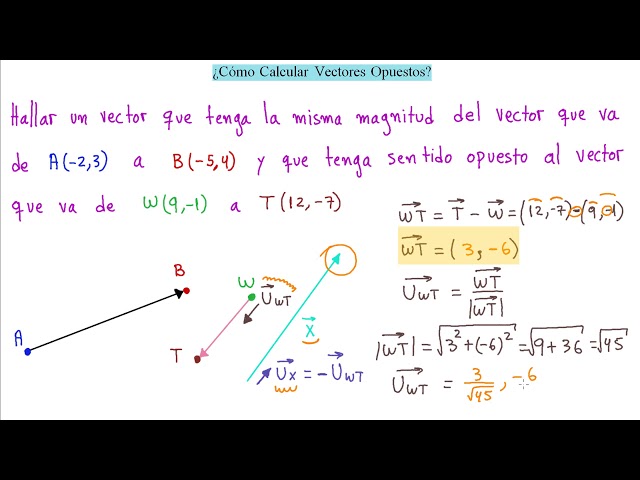 Cuáles son la definición y ejemplos clave del vector opuesto