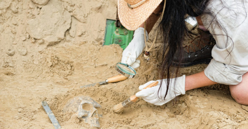 Cuáles son la definición y las ramas clave de la arqueología