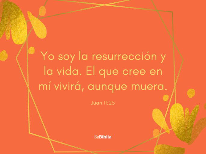 Cuáles son las 50 obras de misericordia más inspiradoras a conocer
