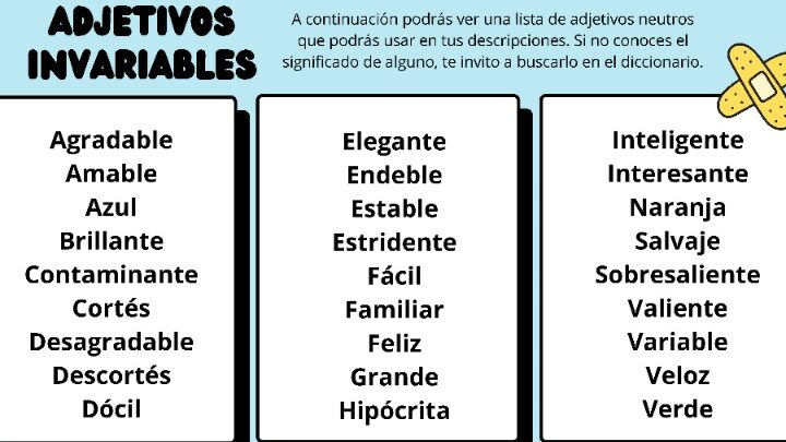 Cuáles son las 50 palabras invariables imprescindibles que debo saber