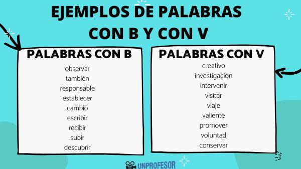 Cuáles son las 50 palabras que inician con OL que debes conocer
