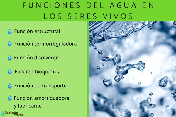 Cuáles son las características clave del agua que debes conocer