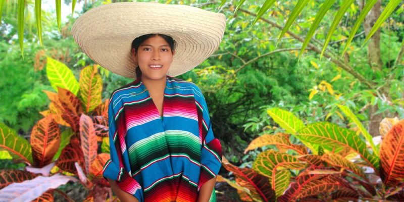 Cuáles son las características culturales y países de América Latina