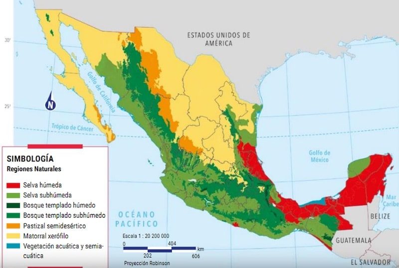 Cuáles son las características de las regiones naturales de México