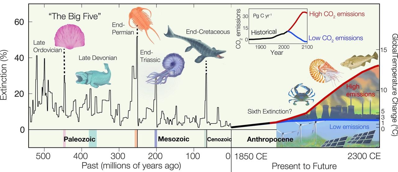 Cuáles son las causas y efectos de las grandes extinciones históricas