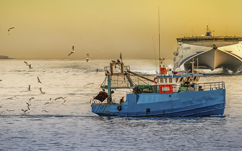 Cuáles son las definiciones, tipos y modalidades de la pesca